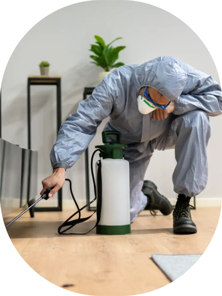 worker spraying under a credenza