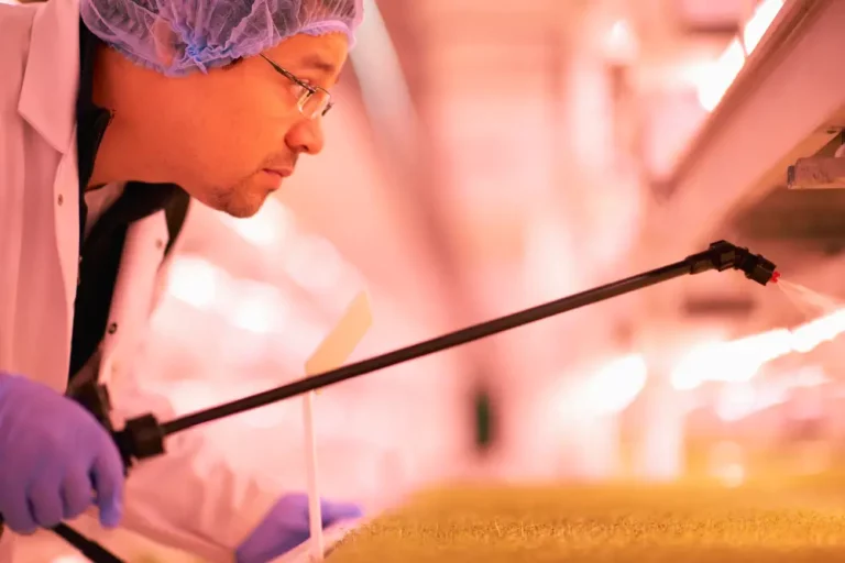 worker spraying tray