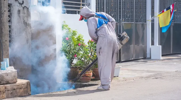 worker spraying insecticide