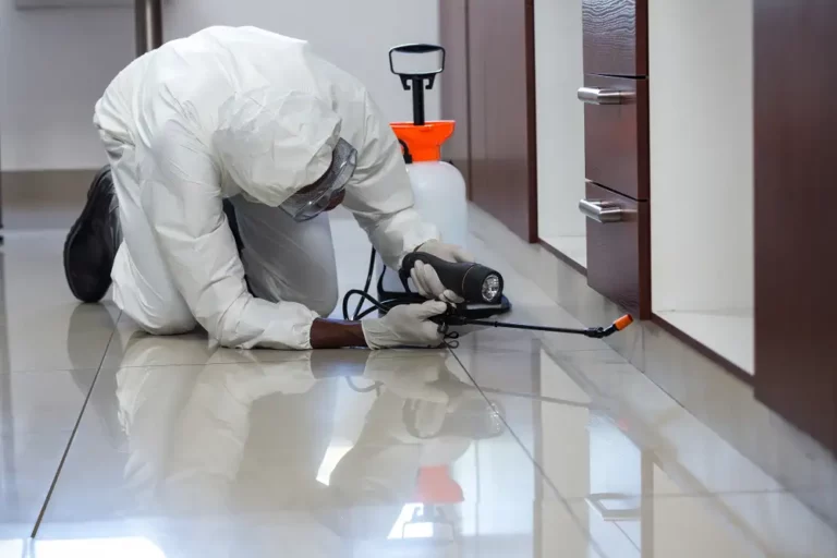 worker spraying in a kitchen