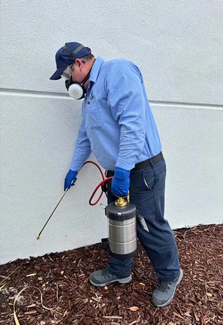 worker spraying outside