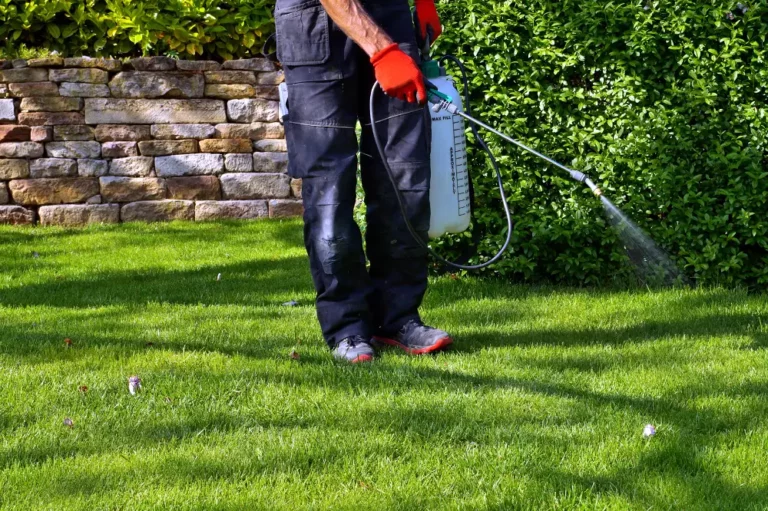 worker spraying grass outside